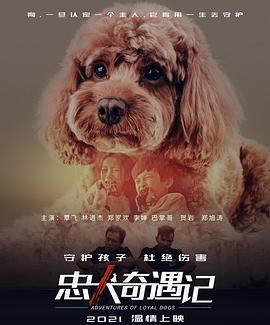 忠犬奇遇记